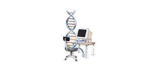 نرم افزار برنامه ریزی ژنتیک مناسب برای انجام پروژه های آماری