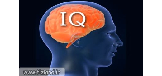 ضریب هوشی (IQ) چیست؟