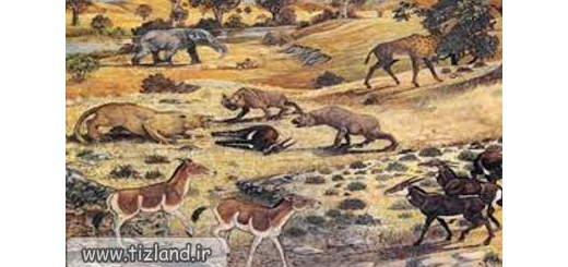 کشف جدید دلیل انقراض بزرگ جانوران در 200میلیون سال قبل