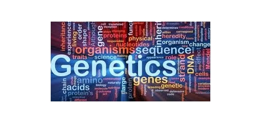 ژنتیک چیست؟