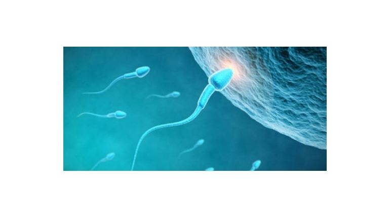 هفت راه برای افزایش مقدار اسپرم