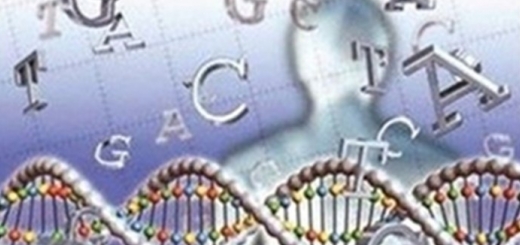کاربرد ژنتیک در شناسایی هویت