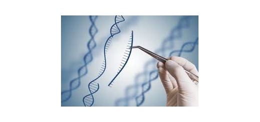 ژنی به نام mTor شناسایی شده که طول عمر را ۱۶ سال افزایش دهد