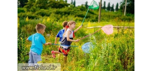 کودکان و فعالیت های فکری و جسمی مناسب در فصل تابستان