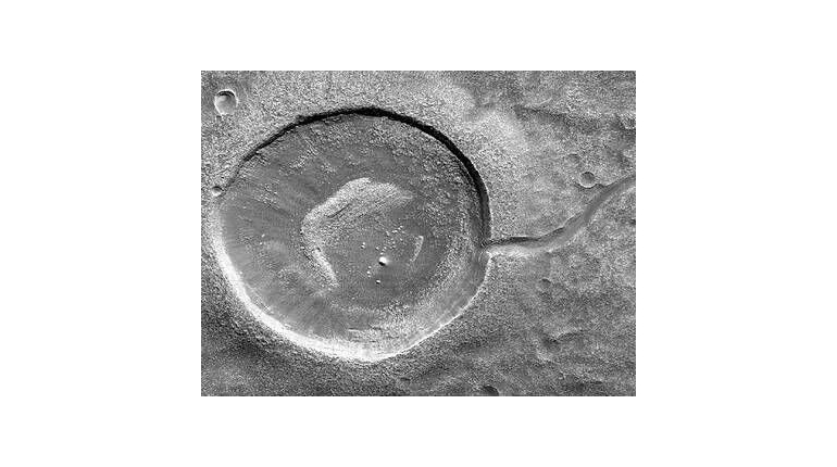 سنگواره کشف شده از یک جانور در سطح مریخ
