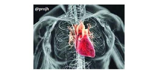 مقاله رایگان راهنمای بالینی مدیریت نارسایی قلبی مزمن