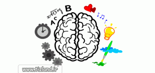 راست مغز هستید یا چپ مغز؟